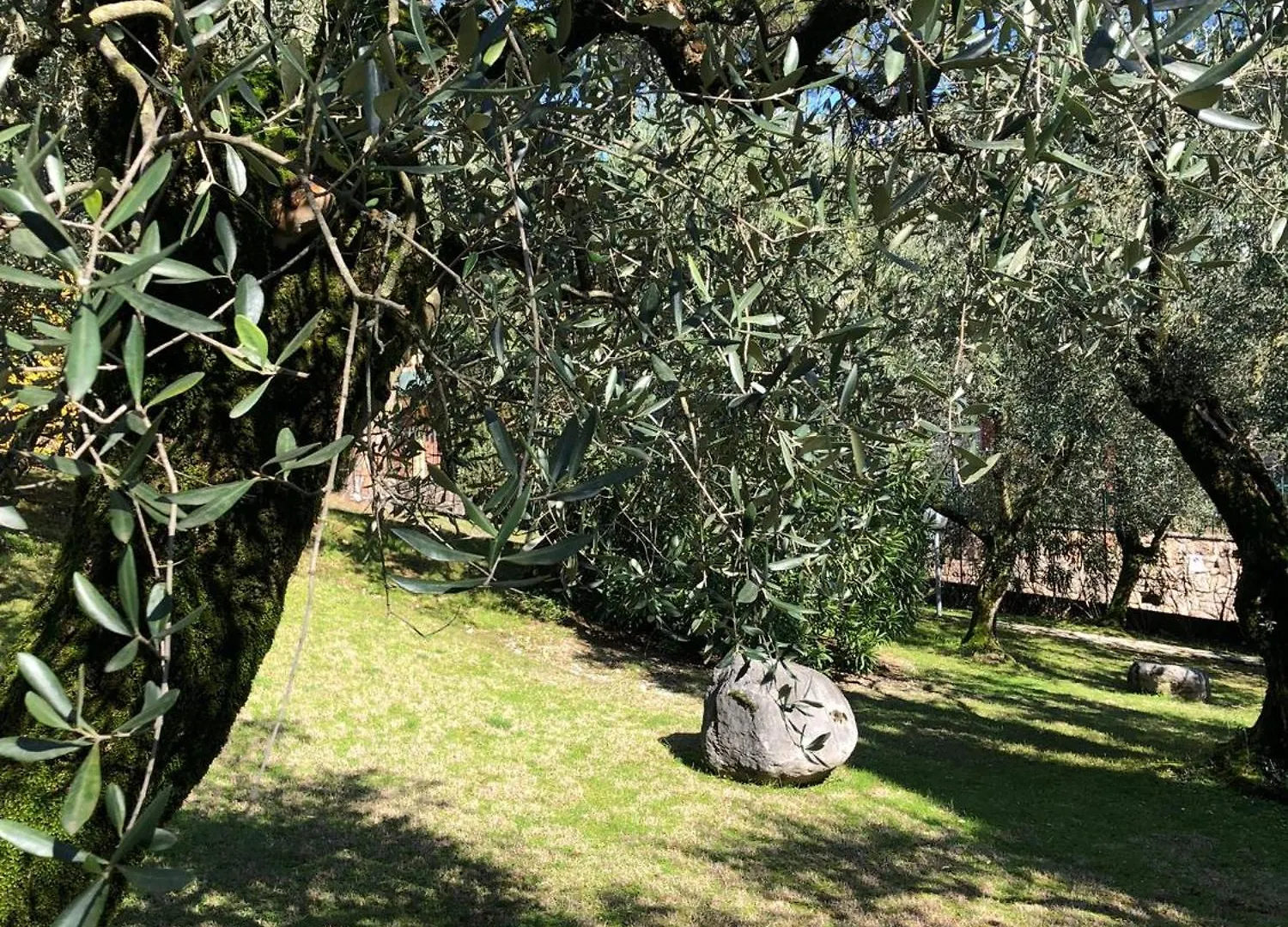 Appartamento Vittoria Garda Garda  Garda (Verona)